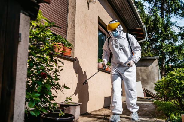 Best Mosquito Control Services  in Essex Village, CT